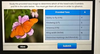 Study the provided taxa image to determine which of the listed traits it exhibits
and fill in the table below. You must get them all correct in order to advance.
Hint
Provided Taxa
Ability to fly (Y/N)
Hindwing (S/T)
Antenna (Y/N)
Y
Submit
S
Y
Wing width (N/EW)
Distinctive markings (N/STR/V/EYE)||
N
A
HAI
E