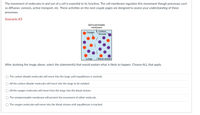 The movement of molecules in and out of a cell is essential to its function. The cell membrane regulates this movement though processes such
as diffusion, osmosis, active transport, etc. These activities on the next couple pages are designed to assess your understanding of these
processes.
Scenario #3
Semi-permeable
membrane
Охудen
Carbon
Dioxide
Lungs
I Blood stream
After studying the image above, select the statement(s) that would explain what is likely to happen. Choose ALL that apply.
O The carbon dioxide molecules will move into the lungs until equalibrium is reached.
O All the carbon dioxide molecules will move into the lungs to be exhaled.
O All the oxygen molecules will move from the lungs into the blood stream.
O The semipermeable membrane will prevent the movement of either molecule.
O The oxygen molecules will move into the blood stream until equalibrium is reached.
