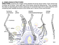 Answered: Directions: Examine The Images Of The… 