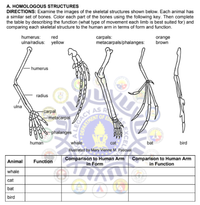 Answered: Comparison to Human Arm in Form… | bartleby