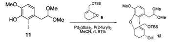 MeO.
HO
11
OMe
OMe
OTBS
Pd₂(dba)3, P(2-furyl)3
MeCN, rt, 91%
MeO.
OMe
OMe
OTBS
"OH
12