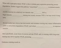 When IKB is phosphorylated, NFKB is free to initiate gene expression promoting protein
degradation. Studies suggest this pathway "exacerbates"
in skeletal muscle.
Aerobic exercise at a relatively low intensity may
TNF-a.
High intensity
training may acutely increase TNF-a but may lower it long-
term.
Several studies have shown that both aerobic and resistance training may reduce inflammatior
(TNF-a) and protein degradation (NFKB ) and reduce
in response t
exercise.
More specifically, acute bouts of exercise activate NFKB early in training while long-term
training may down-regulate NFKB, promoting
Endurance training results in
