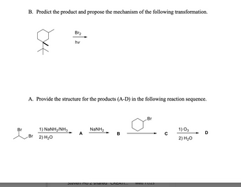 Answered: Br A. Provide the structure for the… | bartleby