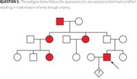 QUESTION 5. The pedigree below follows the appearance of a rare autosomal dominant condition
resulting in malformation of limbs through a family.
