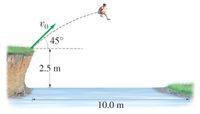 The image depicts a person jumping off a cliff into a body of water. The diagram illustrates the following:

- The initial velocity (\(v_0\)) is directed at an angle of 45 degrees above the horizontal.
- The height from which the person jumps is 2.5 meters above the water surface.
- The horizontal distance the person covers before landing in the water is 10.0 meters.

This setup can be used to study projectile motion, focusing on the effects of initial velocity, launch angle, and height on the trajectory and range of the projectile.