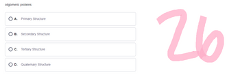 oligomeric proteins
O A. Primary Structure
O B. Secondary Structure
O c. Tertiary Structure
OD. Quaternary Structure
26