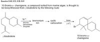 Question 8.48, 8.53, 8.58, 8.61
10-Bromo-a- chamigrene, a compound isolted from marine algae, is thought to
be biosynthesized from y-bisabolene by the following route:
"Br*"
base
bromonium
ion
cyclic
carbocation
bromo-
peroxidase
enzyme
(-H*)
Br
y-bisabolene
10-bromo-a-
chamigrene
