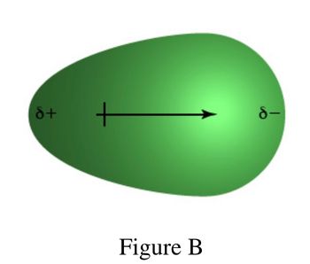 8+
+
Figure B
8-