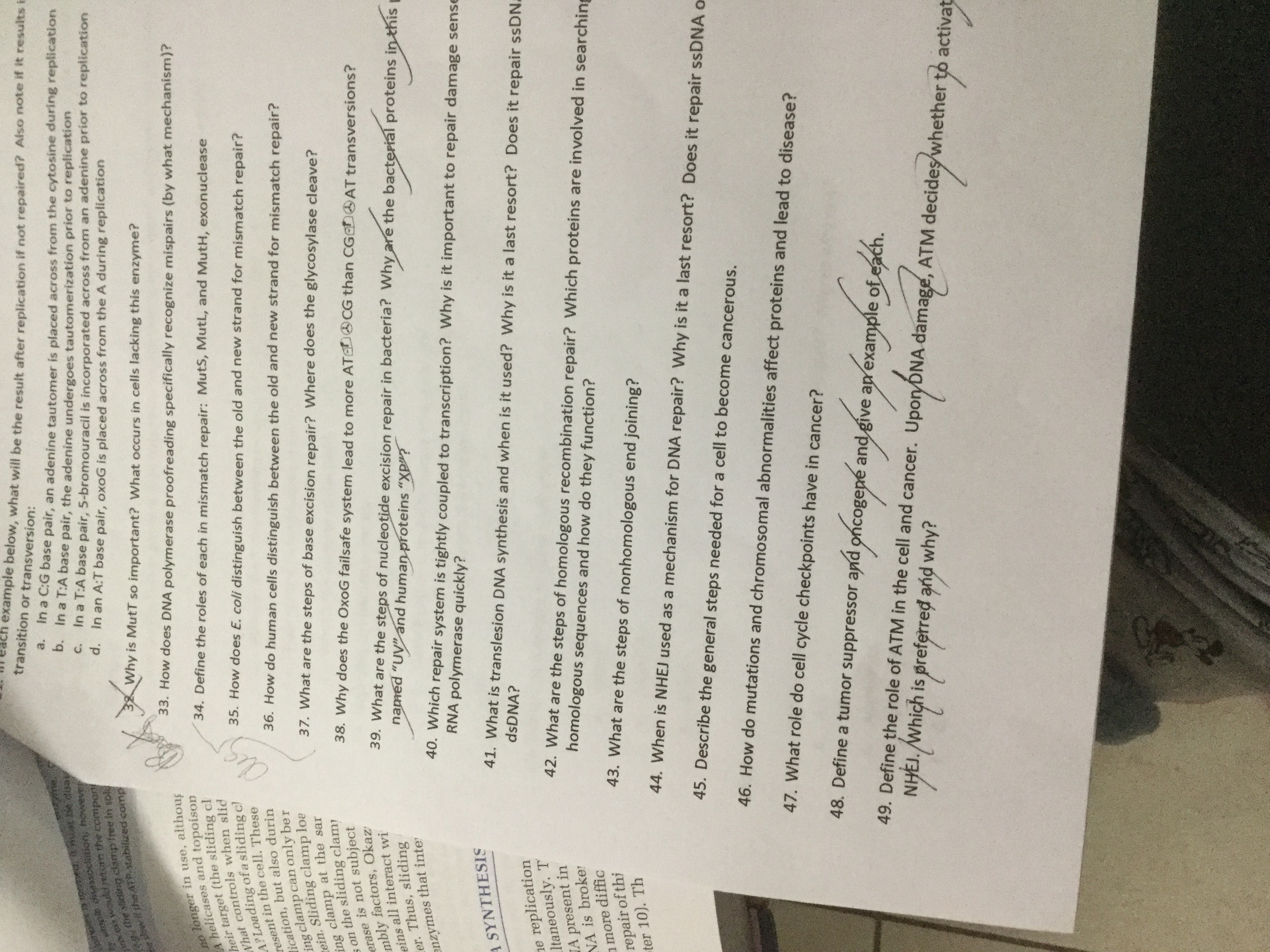 transition or transversion:
example below, what will be the result after replication if not repaired? Also note if it results i
a.
in a C.G base pair, an adenine tautomer is placed across from the cytosine during replication
D. In a T:A base pair, the adenine undergoes tautomerization prior to replication
C.
ar ukf retirn the compa
he sliding clampfree in spl
In a T:A base pair, 5-bromouracil is incorporated across from an adenine prior to replication
d. In an A:T base pair, oxoG is placed across from the A during replication
Prp oisAsocition, however
e slow if the ATP stabilized comp
Why is MutT so important? What occurs in cells lacking this enzyme?
33. How does DNA polymerase proofreading specifically recognize mispairs (by what mechanism)?
no longer in use, althous
A helicases and topoison
heir target (the sliding cl
What controls when slid
A?Loading of a sliding c
resent in the cell. These
lication, but also durin
ing clamp can only ber
rein. Sliding clamp loe
ing clamp at the sar
son the sliding clam
erase is not subject
mbly factors, Okaz
eins all interact wi
er. Thus, sliding
enzymes that inter
34. Define the roles of each in mismatch repair: MutS, MutL, and MutH, exonuclease
35. How does E. coli distinguish between the old and new strand for mismatch repair?
disi
36. How do human cells distinguish between the old and new strand for mismatch repair?
37. What are the steps of base excision repair? Where does the glycosylase cleave?
38. Why does the OxoG failsafe system lead to more ATDOCG than CGeD AT transversions?
39. What are the steps of nucleotide excision repair in bacteria? Why are the bacterial proteins in this
named "UV"ánd human proteins "XP?
40. Which repair system is tightly coupled to transcription? Why is it important to repair damage sense
RNA polymerase quickly?
A SYNTHESIS
41. What is translesion DNA synthesis and when is it used? Why is it a last resort? Does it repair ssDN.
dsDNA?
ne replication
Itaneously. T
JA present in
NA is broker
a more diffic
repair of thi
ter 10). Th
42. What are the steps of homologous recombination repair? Which proteins are involved in searching
homologous sequences and how do they function?
43. What are the steps of nonhomologous end joining?
44. When is NHEJ used as a mechanism for DNA repair? Why is it a last resort? Does it repair ssDNA o
45. Describe the general steps needed for a cell to become cancerous.
46. How do mutations and chromosomal abnormalities affect proteins and lead to disease?
47. What role do cell cycle checkpoints have in cancer?
48. Define a tumor suppressor and
oncogene and give
49. Define the role of ATM in the cell and cancer.
an example of each.
am
NHEJ.
unigh
Which is preferred and why?
poryDNA
damage, ATM decideş/whether to activat
