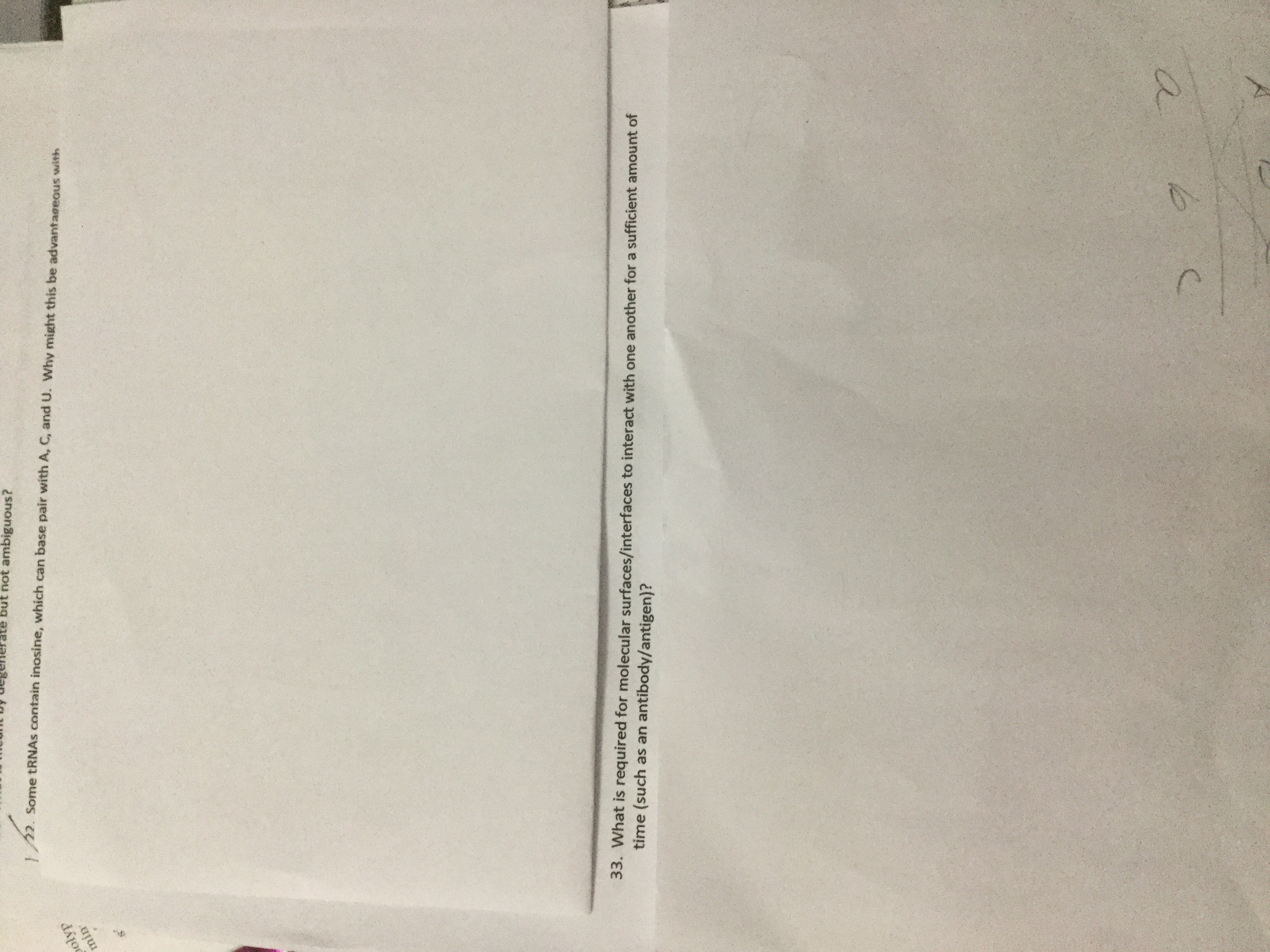 22. Some tRNAs contain inosine, which can base pair with A, C, and U. Why might this be advantageous with
ate but not ambiguous?
olyp
min
33. What is required for molecular surfaces/interfaces to interact with one another for a sufficient amount of
time (such as an antibody/antigen)?
