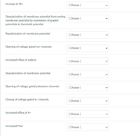 Increase in Pk+
[ Choose ]
Depolarization of membrane potential from resting
[ Choose ]
membrane potential by summation of graded
potentials to threshold potential
Repolarization of membrane potential
[ Choose ]
Opening of voltage-gated na+ channels
[ Choose ]
Increased influx of sodium
[ Choose ]
Depolarization of membrane potential
[ Choose ]
Opening of voltage-gated potassium channels
[ Choose ]
Closing of voltage-gated k+ channels
[ Choose ]
Increased efflux of k+
[ Choose ]
Increased Pna+
[ Choose ]
>
>
>
>
>
>
>
>
>
>
