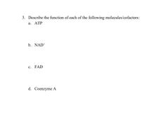 Answered: 3. Describe the function of each of the… | bartleby