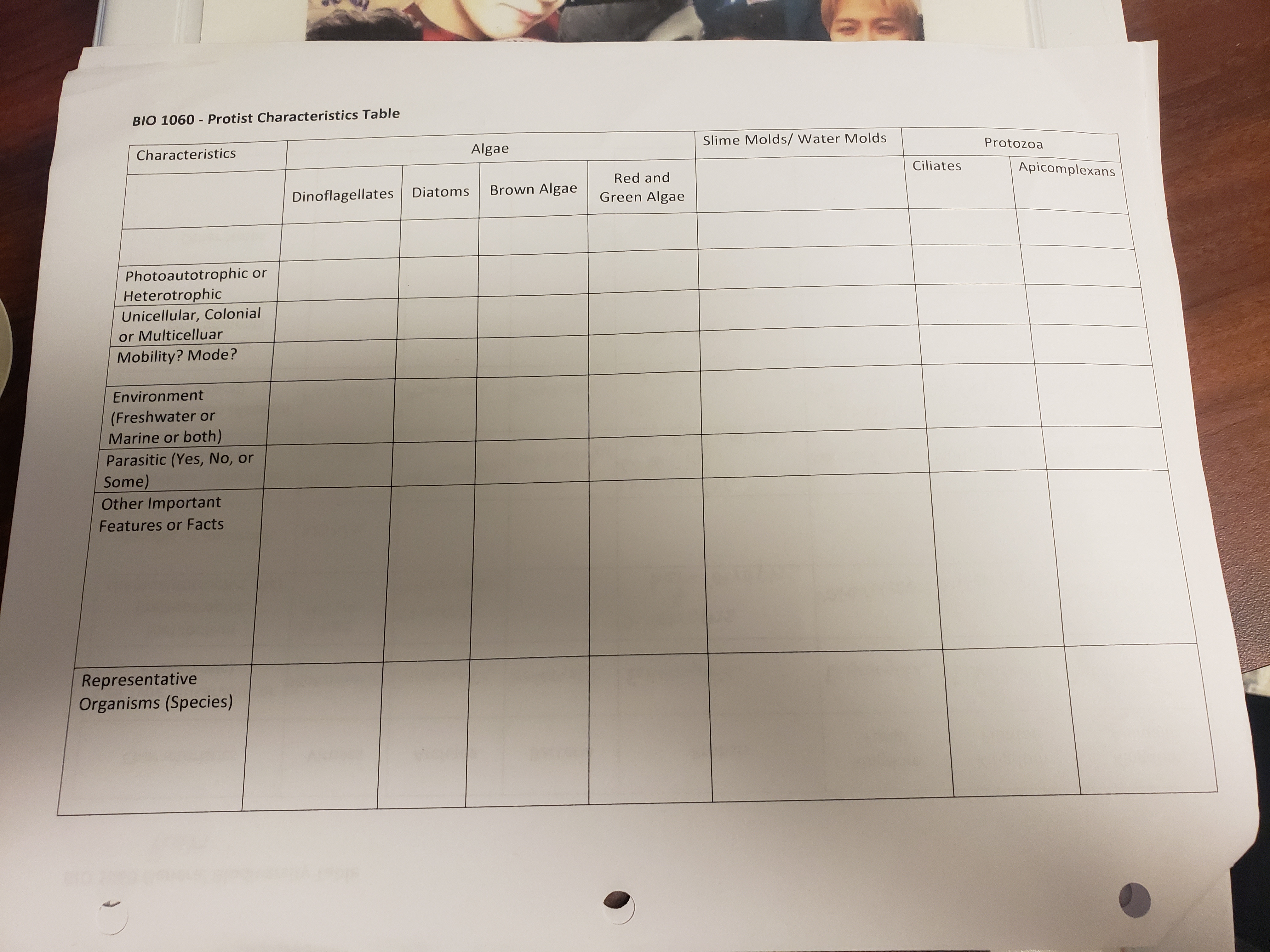 **BIO 1060 - Protist Characteristics Table**

| Characteristics                              | Algae                          | Slime Molds/ Water Molds | Protozoa       |
|----------------------------------------------|--------------------------------|--------------------------|---------------|
|                                              | Dinoflagellates | Diatoms | Brown Algae | Green Algae |                | Ciliates | Apicomplexans | 
| Photoautotrophic or Heterotrophic            |                            |                            |               |                            |             |               |                            |
| Unicellular, Colonial or Multicellular?      |                            |                            |               |                            |             |               |                            |
| Motility/ Mode?                              |                            |                            |               |                            |             |               |                            |
| Environment or Habitat                       |                            |                            |               |                            |             |               |                            |
| Freshwater or Marine (or both)               |                            |                            |               |                            |             |               |                            |
| Parasitic (Yes, No or Some)                  |                            |                            |               |                            |             |               |                            |
| Other Important Features or Facts            |                            |                            |               |                            |             |               |                            |
| Representative Organisms (Species)           |                            |                            |               |                            |             |               |                            |