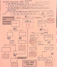 Qualitative Analypis Scheme NOTES: UNKNOWN
SAVE YOUR DECANT!
* YouR UNKNOWN WILL HAVE 1-4 TONS.
* write down your observations here for the unknown Solution- beas detailed
as possible so you can use these notes to write your ion summary
* write your Observations in a way that makes sense to you lie. A decant could be a
clear I colorless solution), if you åre running out Of Space write additional observokions in
your lab notebook.
* DO NOT LOSE THIS PAPER You WILL NEED TO INCLUDE IT IN YOUR LAB REPPORT
Ag*, Hg,", Pb*, Ca*, Mg**, Ba", NHư"
NH3 19)
Hewe Pbt?
SPecial
test
(lit Ped> bhe
OBSERVATIONS
(WO) 12H Ppy
Decant
(NH)
Sand
FOR
Have NH
UNKNOWN
UNK #
SOLUTION
NO Ppt
88
2
Add
(NHy)z SO4
Said
Decant
Camplete
BaSayis)
white ppt
Ppt.
Agt, Hg?,
Cat2, Mgr2,NHt
gou have
Bazt
PH must
4 PHZ8
b) Add
be
basic
Said
Deant
Agt, Hg*Zca+ZMg2
NH42
You have
Ca 4
Mg test
b)
c)
e)
PH must be 7]!
PH must
MglOH)z cs)
bluelpur ple Ppt
be
basic
SAVE YOUR
DECANT
Have Mg2t
2t
YOM need to test it!
