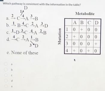 Which pathway is consistent with the information in the table?
a.
D
1/1
CAB
b. 1B4C2A 3D
c. DC4A B
d. CAB
3 D
e. None of these
Mutation
Metabolite
ABCD
10+00
2+000
3000+
4+0+0
a
C
PP
00000
ల