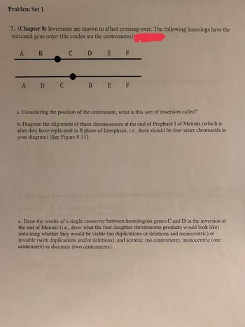 Problem Set 1
7. (Chapter 8) Inversions are known to affect crossing-over. The following homologs have the
indicated gene order (the circles are the centromeres);
A
B
C
D
E
F
A D C
BE F
a. Considering the position of the centromere, what is this sort of inversion called?
b. Diagram the alignment of these chromosomes at the end of Prophase I of Meiosis (which is
after they have replicated in S phase of Interphase, i.e., there should be four sister chromatids in
your diagram) [See Figure 8.11].
c. Draw the results of a single crossover between homologous genes C and D in the inversion at
the end of Meiosis (i.e., draw what the four daughter chromosome products would look like)
indicating whether they would be viable (no duplications or deletions and monocentric) or
inviable (with duplications and/or deletions), and acentric (no centromere), monocentric (one
centromere) or dicentric (two centromeres).
