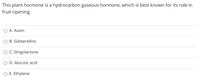 This plant hormone is a hydrocarbon gaseous hormone, which is best known for its role in
fruit ripening.
A. Auxin
B. Gibberellins
O C. Strigolactone
D. Abscisic acid
O E. Ethylene
