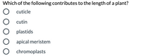 Which of the following contributes to the length of a plant?
O cuticle
cutin
O plastids
apical meristem
O chromoplasts
