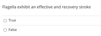 Flagella exhibit an effective and recovery stroke
O True
False
