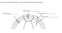 Name the indicated regions of the meristem diagramed below.
3. This zone_
4. This zone_
1. These layers_
(2. This layer_
