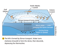 Answered: North Atlantic Current Gulf Canary… | bartleby