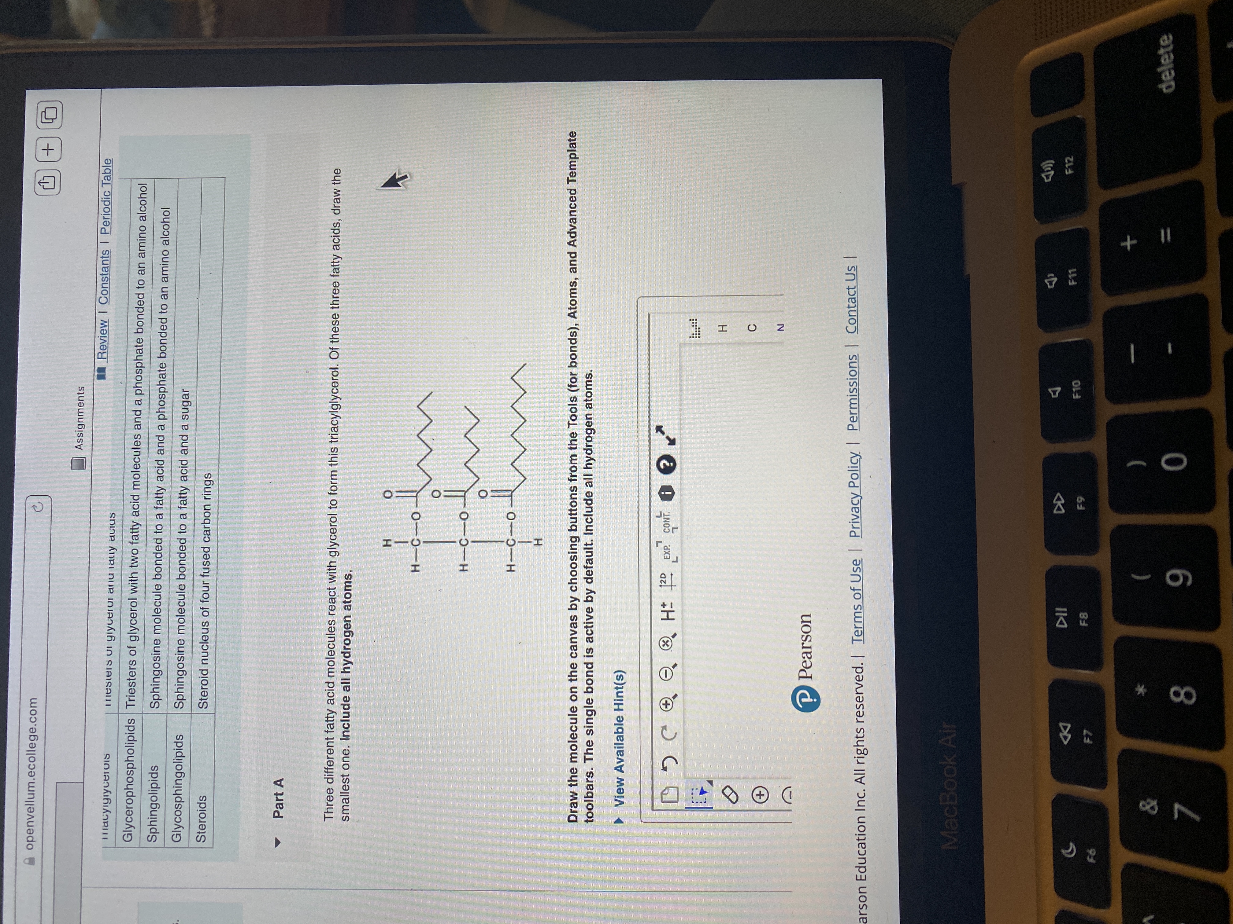 HIC
CIH
云
A openvellum.ecollege.com
Assignments
AA Review I Constants I Periodic Table
Tmacyigiycerois
Tmesters oi giyceroi anu Tally aCiUS
Glycerophospholipids Triesters of glycerol with two fatty acid molecules and a phosphate bonded to an amino alcohol
Sphingolipids
Sphingosine molecule bonded to a fatty acid and a phosphate bonded to an amino alcohol
Glycosphingolipids
Sphingosine molecule bonded to a fatty acid and a sugar
Steroids
Steroid nucleus of four fused carbon rings
Part A
Three different fatty acid molecules react with glycerol to form this triacylglycerol. Of these three fatty acids, draw the
smallest one. Include all hydrogen atoms.
Draw the molecule on the canvas by choosing buttons from the Tools (for bonds), Atoms, and Advanced Template
toolbars. The single bond is active by default. Include all hydrogen atoms.
• View Available Hint(s)
2D
EXP.
(X)
INO
P Pearson
arson Education Inc. All rights reserved. | Terms of Use | Privacy Policy | Permissions | Contact Us |
MacBook Air
DD
F7
F12
F11
F10
63
)
(
delete
%3D
8.
