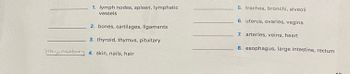 1. lymph nodes, spleen, lymphatic
vessels
2. bones, cartilages, ligaments
3. thyroid, thymus, pituitary
integumentary 4. skin, nails, hair
5. trachea, bronchi, alveoli
6. uterus, ovaries, vagina
7. arteries, veins, heart
8. esophagus, large intestine, rectum
1