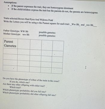 Assumptions:
.
If the parent expresses the trait, they are homozygous dominant
If the child/children express the trait but the parents do not, the parents are heterozygous.
Traits selected: Brown Hair/Eyes And Widows Peak
Write the Letters you will be using n the Punnet square for each trait: _Ww Bb_and_ww Bb_
Father Genotype: WW Bb
Mother Genotype: ww Bb
Parent
Gametes
possible gametes:
possible gametes:
Do you have the phenotype of either of the traits in the cross?
If you do, which one?
Are there any other offspring with either trait?
Which trait?
Which phenotypic probability did you fall into?
Which phenotypic probability did other offspring fall into?
I