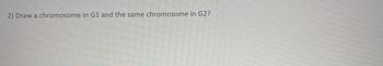 2) Draw a chromosome in G1 and the same chromosome in G2?