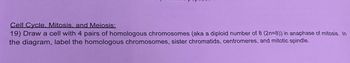 Cell Cycle. Mitosis. and Meiosis:
19) Draw a cell with 4 pairs of homologous chromosomes (aka a diploid number of 8 (2n=8)) in anaphase of mitosis. In
the diagram, label the homologous chromosomes, sister chromatids, centromeres, and mitotic spindle.