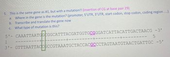 5. This is the same gene as #1, but with a mutation!! (insertion of CG at base pair 29)
a.
Where in the gene is the mutation? (promoter, 5'UTR, 3'UTR, start codon, stop codon, coding region ...)
b. Transcribe and translate the gene now
What type of mutation is this?
C.
5'- CAAATTAATOGECGGCATTTACGATGGTGCGGGATCATTACATTGACTAACG -3'
1
5
3'-
GTTTAATTACCGCCGTAAATGCTACCACGCCCTAGTAATGTAACTGATTGC -5'
-+-
--+--
-+-
-+-