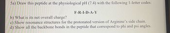 5a) Draw this peptide at the physiological pH (7.4) with the following 1-letter codes:
F-R-I-D-A-Y
b) What is its net overall charge?
c) Show resonance structures for the protonated version of Arginine's side chain.
d) Show all the backbone bonds in the peptide that correspond to phi and psi angles.