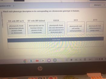 estion 2 of 15
Ⓒ Macmillan Learning
>
Match each phenotype description to its corresponding sex chromosome genotype in humans.
XX with SRY on X
phenotypically female
but karyotype indicates
presence of both
sex chromosomes
XY with SRY deleted
phenotypically male but
karyotype indicates
presence of only
X chromosomes
hp
XXXX
phenotypically female
with some abnormalities
and overexpression of X
chromosome genes
Answer Bank
A
0
XXY
phenotypically male
with sterility
and hypogonadism
€
US
ES
☐
Attempt 2
Apr 1
XYY
phenotypically male
with an increase in
average stature
3:52
STAY
