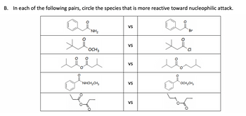 B. In each of the following pairs, circle the species that is more reactive toward nucleophilic attack.
aim
"NH2
ثلا
ر
OCH3
"NHCH2CH3
VS
VS
VS
VS
VS
Br
مثلا
المند
"OCH2CH3