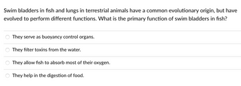 Swim bladders in fish and lungs in terrestrial animals have a common evolutionary origin, but have
evolved to perform different functions. What is the primary function of swim bladders in fish?
They serve as buoyancy control organs.
They filter toxins from the water.
They allow fish to absorb most of their oxygen.
They help in the digestion of food.