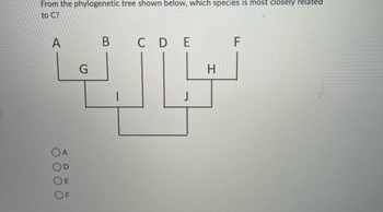 Answered: From The Phylogenetic Tree Shown Below,… | Bartleby