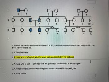 1.
+Tº
a. A female carrier
3
3
4
e. A male carrier
4
979
5
b. A male who is affected with the given trait represented in the pedigree
PTO
Consider the pedigree illustrated above (i.e., Figure D in the supplemental file). Individual 1-1 can
best be described as...
c. A male who is not affected with the given trait represented in the pedigree
d. A female who is affected with the given trait represented in the pedigree
9
10-13
10