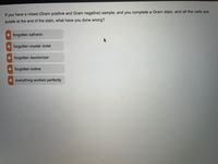 If you have a mixed (Gram positive and Gram negative) sample, and you complete a Gram stain, and all the cells are
purple at the end of the stain, what have you done wrong?
forgotten safranin
forgotten crystal violet
forgotten decolorizer
forgotten iodine
everything worked perfectly
