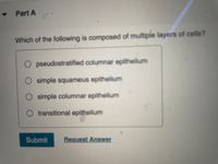 - Part A
Which of the following is composed of multiple layers of cells?
pseudostratified columnar epithelium
O simple squamous epithelium
O simple columnar epithelium
transitional epithelium
Submit
Request Answer
