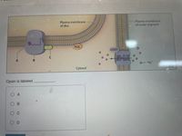 Plasma membrane
of disc
Plasma membrane
of outer segment
PDE
CGMP
Na*
Cytosol
Opsin is labeled
O A
В
