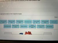 Activity: Overview of the external anatomy of the heart anterior view
e appropriate labels to their respective targets.
Reset
Left coronary
artery
Superior vena
Left pulmonary
veins
Left pulmonary
artery
Great cardiac
Pulmonary trunk
Aortic arch
cava
vein
Anterior
Auricle of right
Right coronary
artery
Ascending aorta
Right ventricle
interventricular
Left ventricle
atrium
artery
