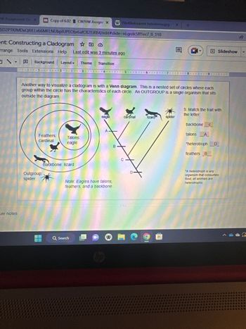 W Assignment: Co x
6D2PTKFMDXQRILLX66MFLNUbpIUPEObr6afCB2EiRB4/edit#slide-id.gcdc5ff1ec7_0_310
ent: Constructing a Cladogram
rrange Tools Extensions Help
Y
Copy of 6.02 CW/HW Assignr X W File:Kladoramm heloderma.jpg - x
xer notes
Background Layout Theme Transition
A** 1. 243
Last edit was 3 minutes ago
Feathers:
cardinal
Outgroup:
spider
Talons:
eagle
Another way to visualize a cladogram is with a Venn diagram. This is a nested set of circles where each
group within the circle has the characteristics of each circle. An OUTGROUP is a single organism that sits
outside the diagram.
Backbone: lizard
Q Search
4 5 6 7 8 9
eagle
cardinal
V
B
C-
Note: Eagles have talons,
feathers, and a backbone.
E
+
lizard spider
***
Slideshow
5. Match the trait with
the letter.
backbone __C__
talons A
*heterotroph___D_
feathers B
A heterotroph is any
organism that consumes
food, all animals are
heterotrophs.