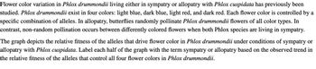 **Flower Color Variation in Phlox drummondii**

Flower color variation in *Phlox drummondii* living either in sympatry or allopatry with *Phlox cuspidata* has previously been studied. *Phlox drummondii* exist in four colors: light blue, dark blue, light red, and dark red. Each flower color is controlled by a specific combination of alleles. In allopatry, butterflies randomly pollinate *Phlox drummondii* flowers of all color types. In contrast, non-random pollination occurs between differently colored flowers when both *Phlox* species are living in sympatry.

The graph depicts the relative fitness of the alleles that drive flower color in *Phlox drummondii* under conditions of sympatry or allopatry with *Phlox cuspidata*. Label each half of the graph with the term sympatry or allopatry based on the observed trend in the relative fitness of the alleles that control all four flower colors in *Phlox drummondii*.