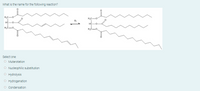 What is the name for the following reaction?
H,C-
H,C
HC
-0-
HC-
H,C-o.
H,C-o,
Select one:
O Mutarotation
O Nucleophilic substitution
O Hydrolysis
O Hydrogenation
O condensation
