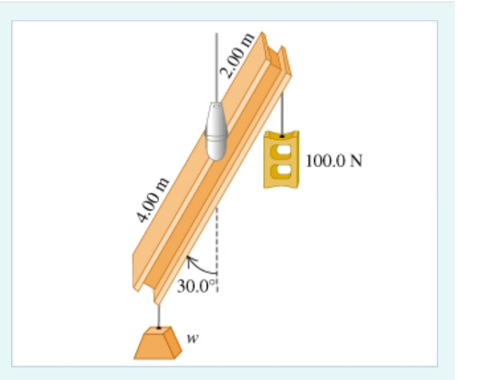 100.0 N
30.0
2.00 m
00
оо
