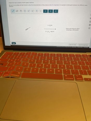 Predict the major products of both organic reactions.
Be sure to use wedge and dash bonds to show the stereochemistry of the products when it's important, for example to distinguish between two different major
products.
ab
Pck
Check
+
Х
80
F4
14
C
1. R₂BH
2. H₂O₂, NaOH
'2 2'
Click and drag to start
drawing a structure.
%
205
F6
07
&
E
18
Ar
B
Save For Later
Submit Assignment
© 2024 McGraw Hill LLC. All Rights Reserved. Terms of Use | Privacy Center | Accessibility
A
F7
E
W
R
T
Y
U
S
D
F
G
H
* 00
8
A
A»
Fa
FO
F10
F11
F12
Ο
O
P
{
J
K
L
Z
X
C
V
B
N
M
1-
H
A
option
command
H
>
?
command
option
