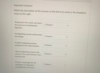 Important enzymes:
Match the description of the enzyme on the left to its name in the dropdown
menu on the right.
Produced in the mouth and starts
[ Choose ]
the process of carbohydrate
digestion.
Fat digesting enzyme produced by
[ Choose ]
the tongue
A protein digesting enzyme
produced in the small intestine
[ Choose ]
Main fat digesting enzyme that
[ Choose ]
arrives in the small intestine from
the pancreas
Enzyme responsible for the
[Choose ]
breakdown of ethanol to
acetaldehyde in the liver.
