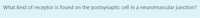 What kind of receptor is found on the postsynaptic cell in a neuromuscular junction?
