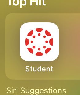 Top
Student
Siri Suggestions