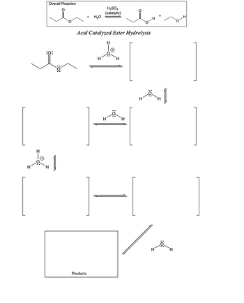 H
Overall Reaction
:0:
H
1100
1
i
Acid Catalyzed Ester Hydrolysis
+ H₂O
Products
H₂SO4
(catalytic)
H
H
H
H
H
H
H
راق
H
H